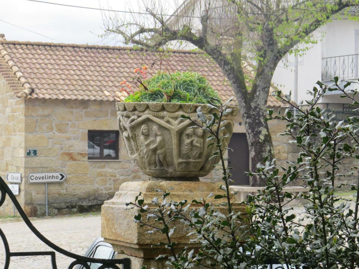הוילה Sao Joao da Serra Casa Sao Joao מראה חיצוני תמונה